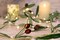 Olive Branch Christmas Garland String Lights 10FT 40 White LED Lighted